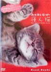 寝ん猫DVD-トリミング.jpg